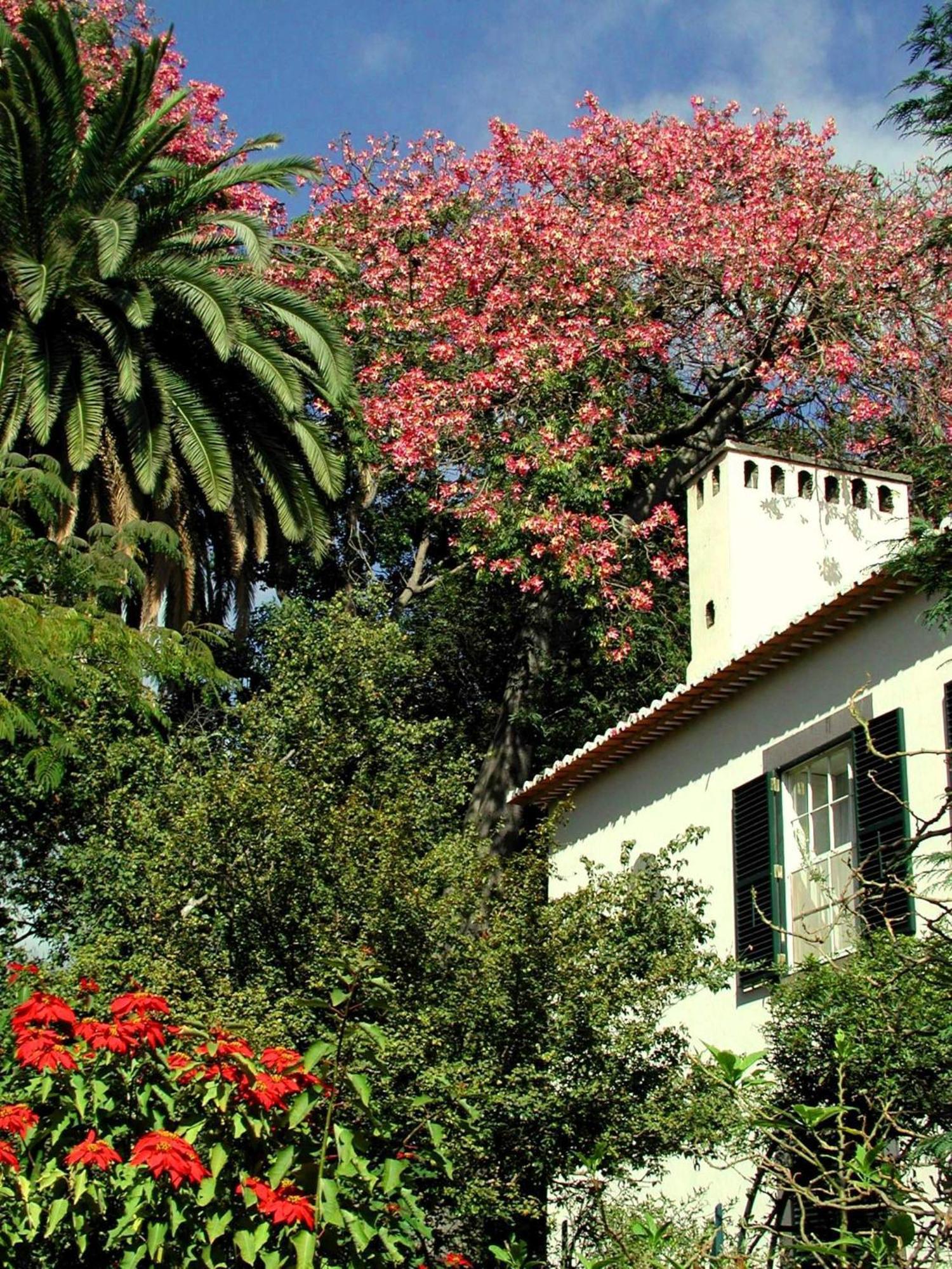 Quinta Da Bela Vista Hotel Funchal  Kültér fotó